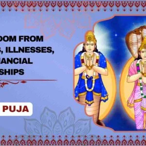 Rahu-Ketu-Shani Dosh Navgrah Shanti Puja - Individual Puja