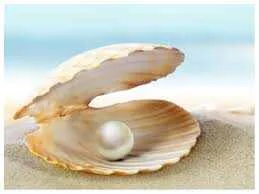 Pearl