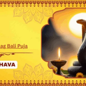 Ashlesha Naag Bali Puja - Individual Puja