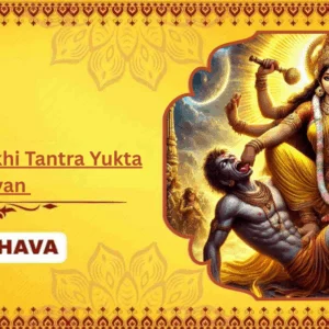 Maa Bagalamukhi Tantra Yukta Havan and Shani Til Tel Abhishek - Joint Family + Bhog + Flower Basket
