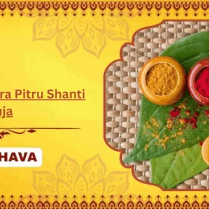 Megha Nakshtra Pitru Shanti Puja - Family + Bhog