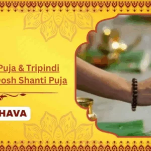 Narayan Bali Puja & Tripindi Shraadh Pitru Dosh Shanti Puja - Individual Puja