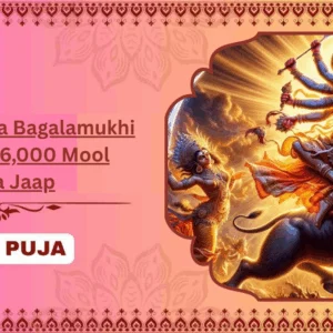 Sharad Purnima Bagalamukhi Havan and 36,000 Mool Mantra Jaap - Partner Puja