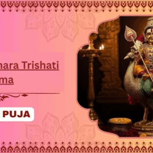 Shatru Samhara Trishati Homa - Partner Puja