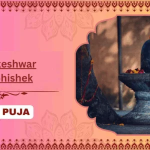 Trimbakeshwar Rudrabhishek - Partner Puja