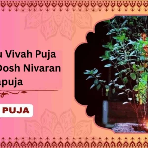 Tulsi–Vishnu Vivah Puja and Mangal Dosh Nivaran Mahapuja - Family + Bhog